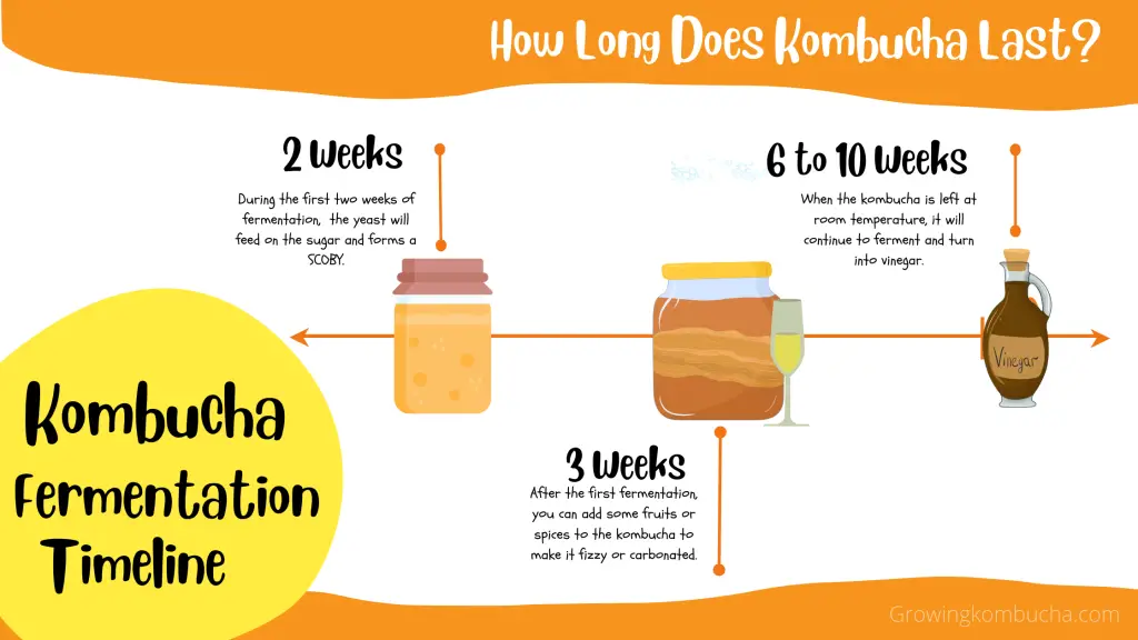How Long Does Kombucha Last- Kombucha Fermentation Timeline