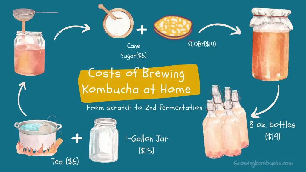 Costs of brewing kombucha at home