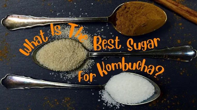 What Is The Best Kombucha Sugar?