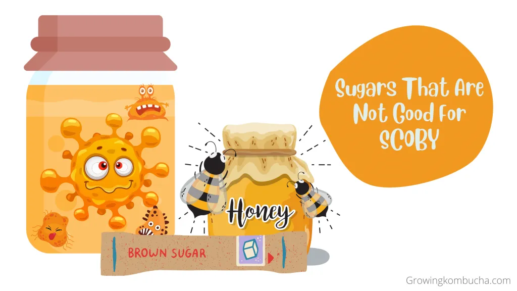 Sugars that are not good for SCOBY