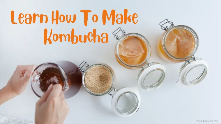 How To Make Kombucha: A Beginner's Guide From SCOBY To 2nd fermentation