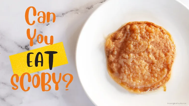Can You Eat SCOBY And Is It Safe To Consume It?