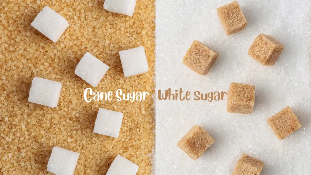 Best sugar for kombucha: white sugar and cane sugar