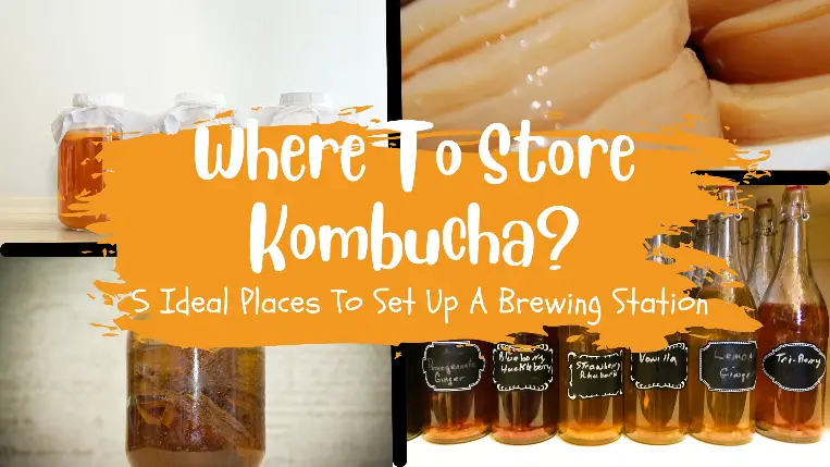 where to store kmobucha