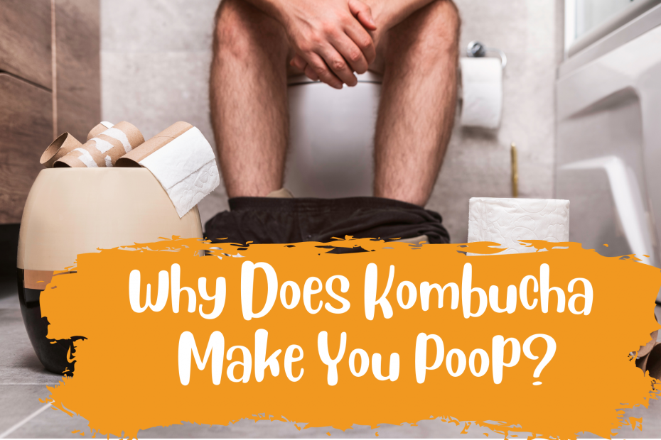 Booch Effect: Why Does Kombucha Make You Poop?