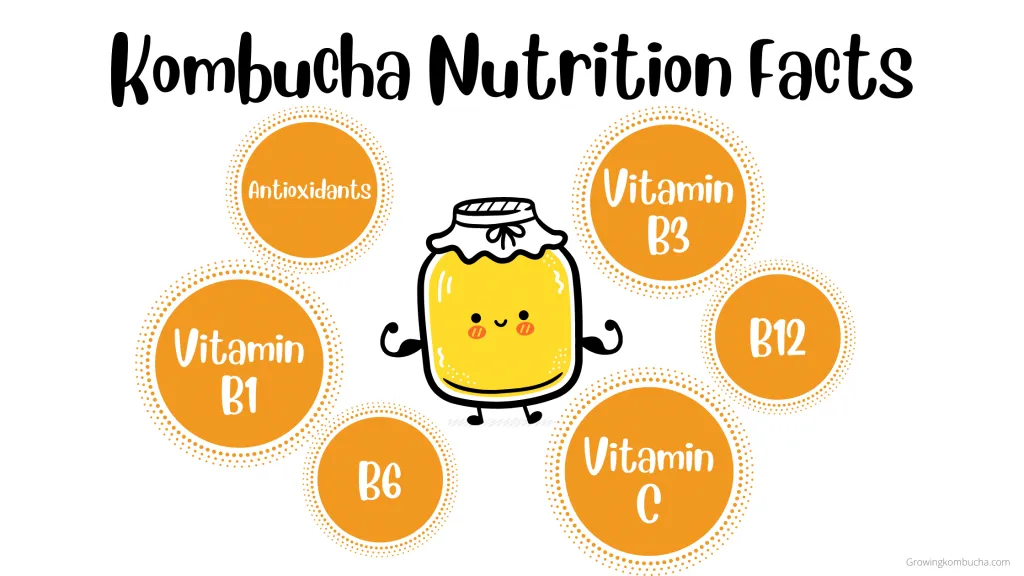 Kombucha nutrition facts