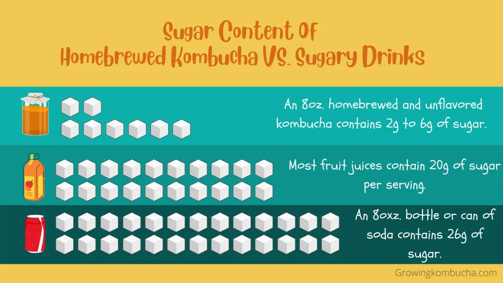 Sugar content comparison of kombucha vs. sugary beverages.