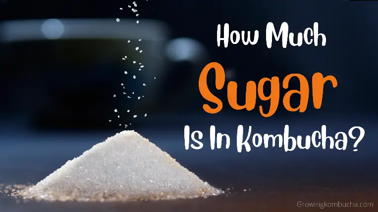 How Much Sugar Is In Kombucha?