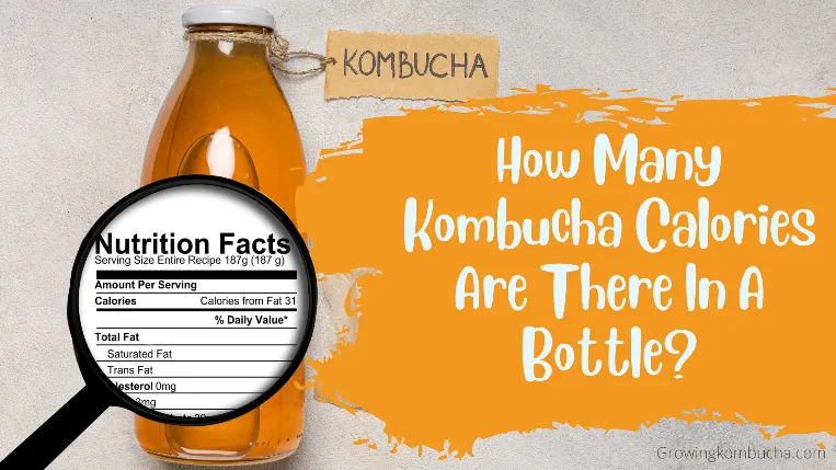 How Many Kombucha Calories Are There In A Bottle?