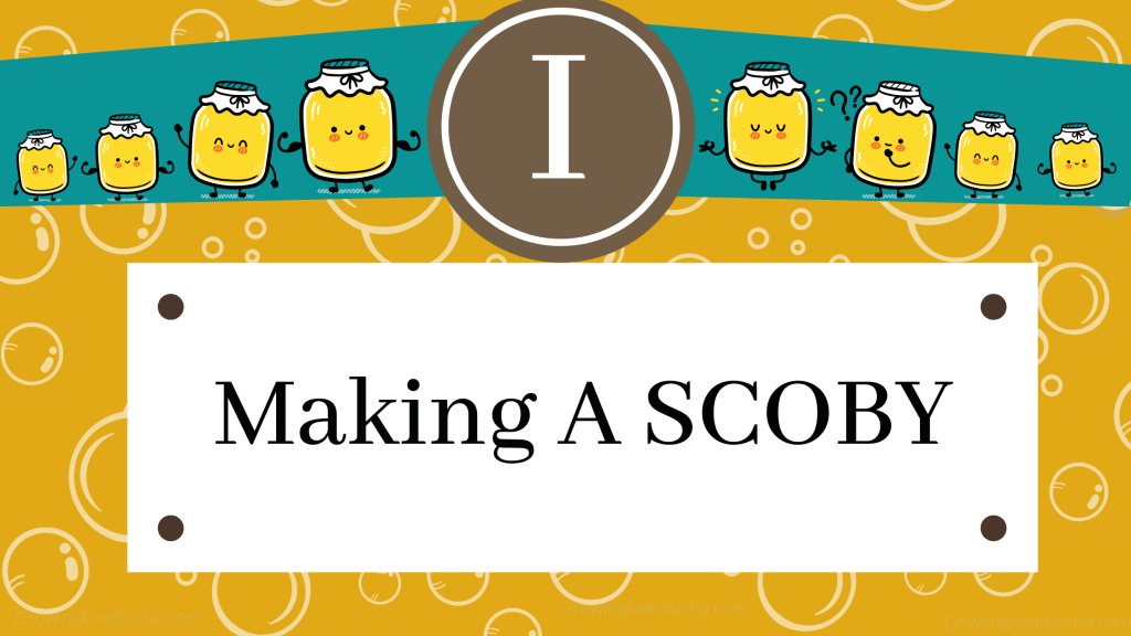 Making a SCOBY