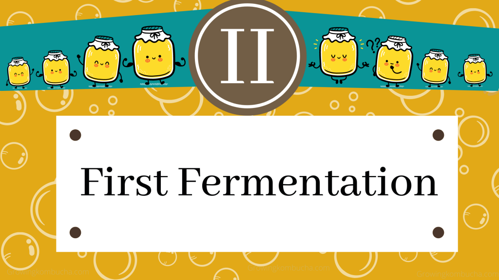 first fermentation