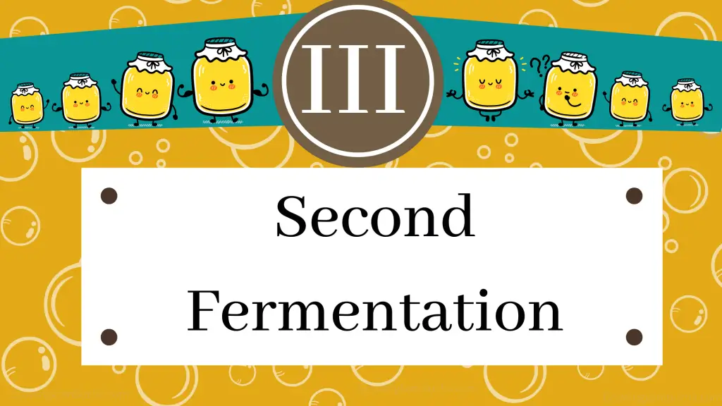 second fermentation