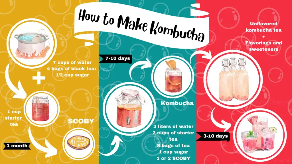 How to make kombucha - process map