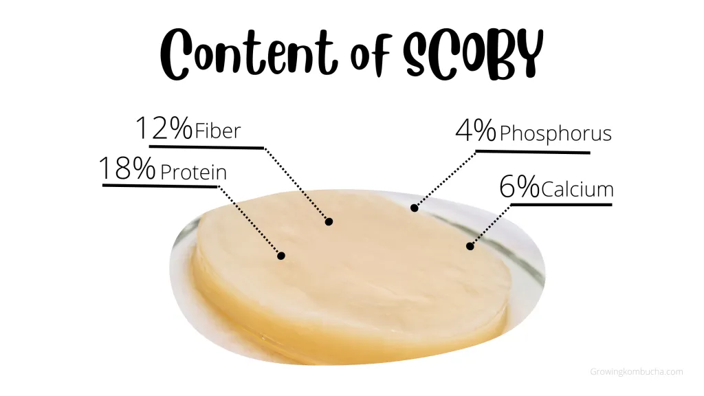 The nature and nutritional content of SCOBY