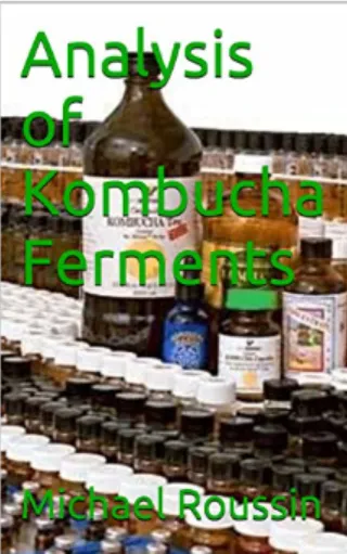 Analayses of Kombucha by Michael Roussin