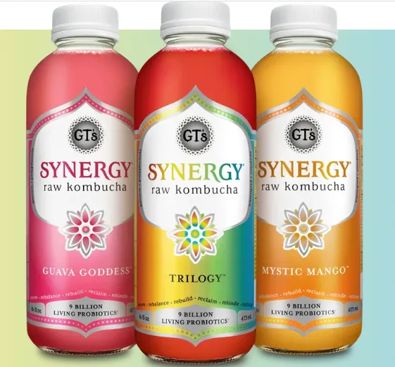 GT's Synergy Kombucha