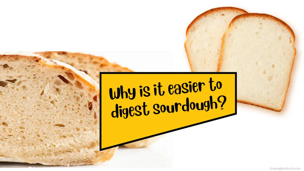 Why it's easier to digest sourdough than white bread