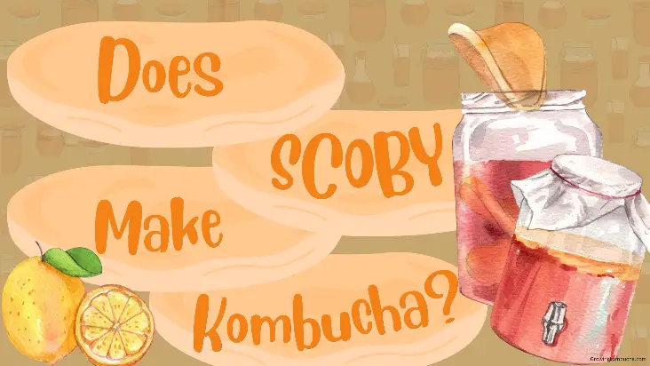 Does SCOBY Make Kombucha?