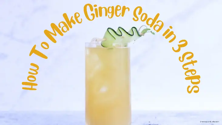 How To Make Ginger Soda