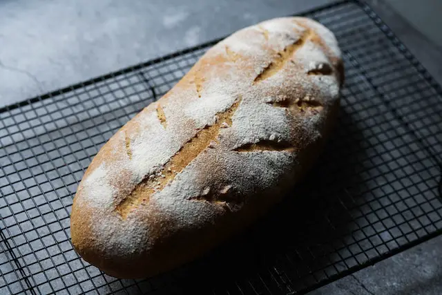 Sourdough the ancient bread